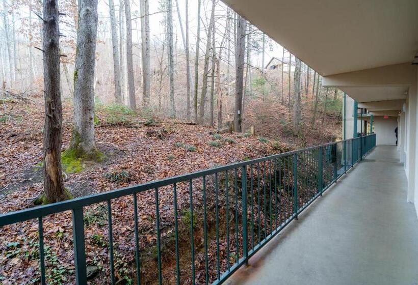 דירה בת חדר שינה 1 עם נוף, Condo In Gatlinburg Very Peaceful   10 Min Walk To Main Strip