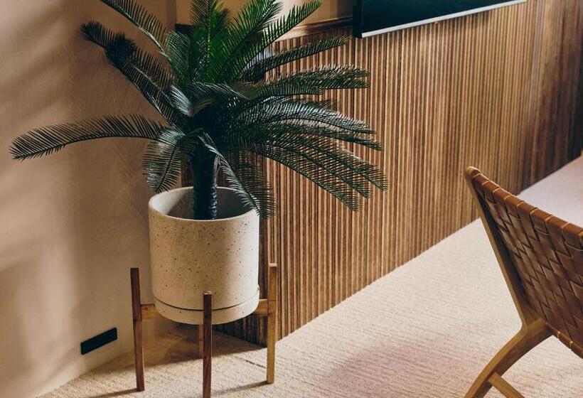 １ベッドルームアパートメント, Illi Mani Shibuya