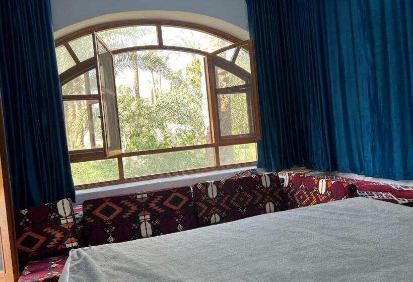 اتاق استاندارد, Pyramids View Guest Villa