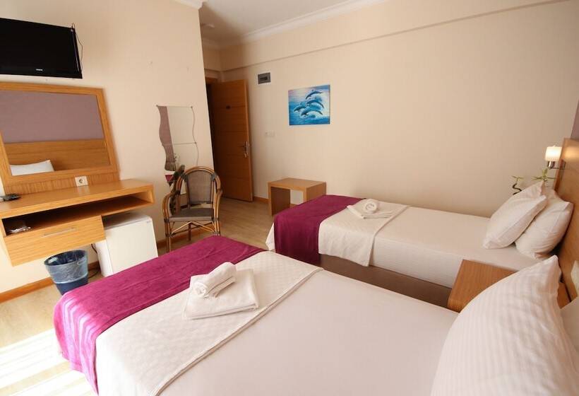 غرفة قياسية مطلّة علي الحديقة, Siriusmi