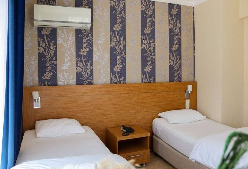 غرفة قياسية مطلّة علي الحديقة, Siriusmi