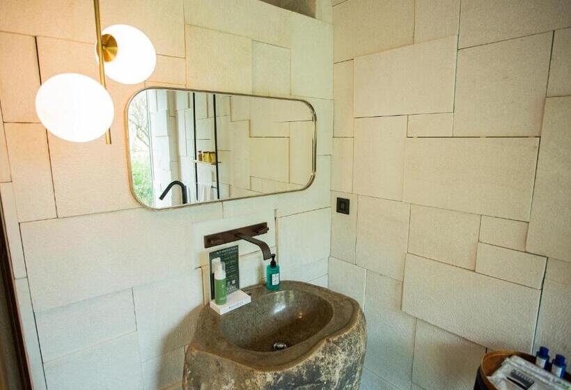 اتاق استاندارد با چشم‌انداز باغ, The Forest Museum