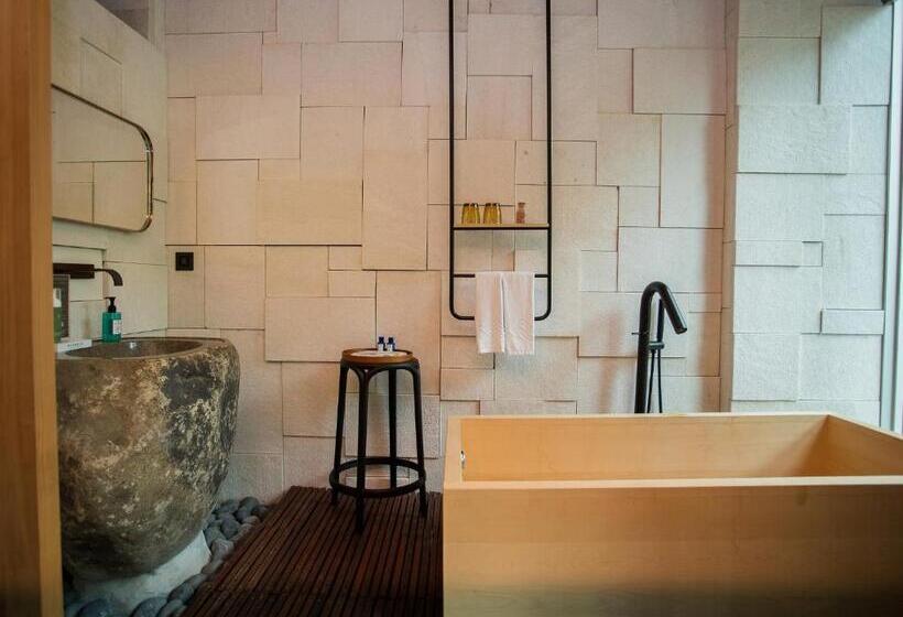 اتاق استاندارد با چشم‌انداز باغ, The Forest Museum