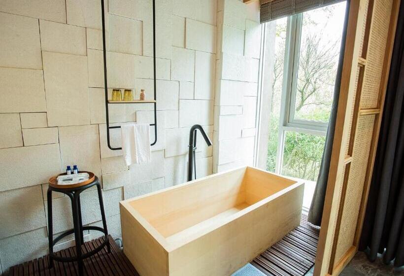 اتاق استاندارد با چشم‌انداز باغ, The Forest Museum