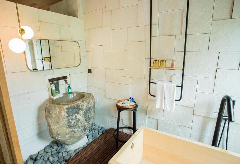 اتاق استاندارد با چشم‌انداز باغ, The Forest Museum