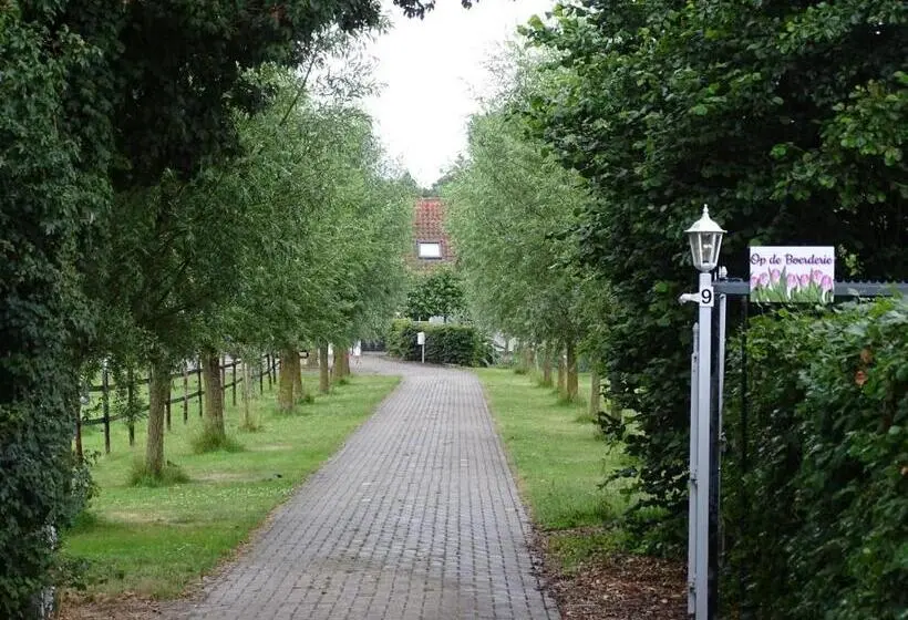 Standard-huone Terassi, De Tulp
