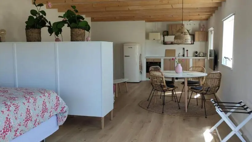 Standard-huone Terassi, De Tulp