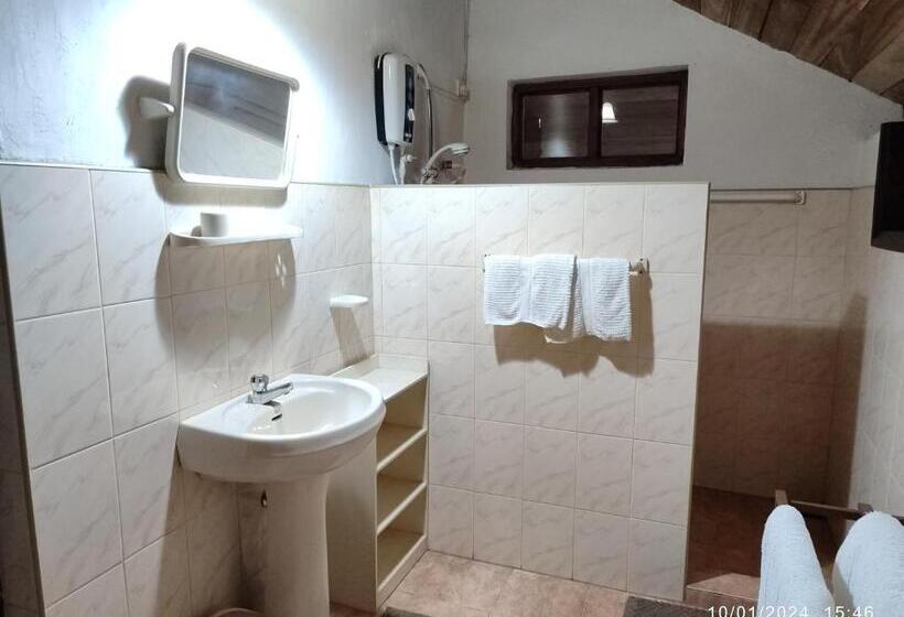 غرفة ديلوكس عائلية, Spring Shannon Heritage