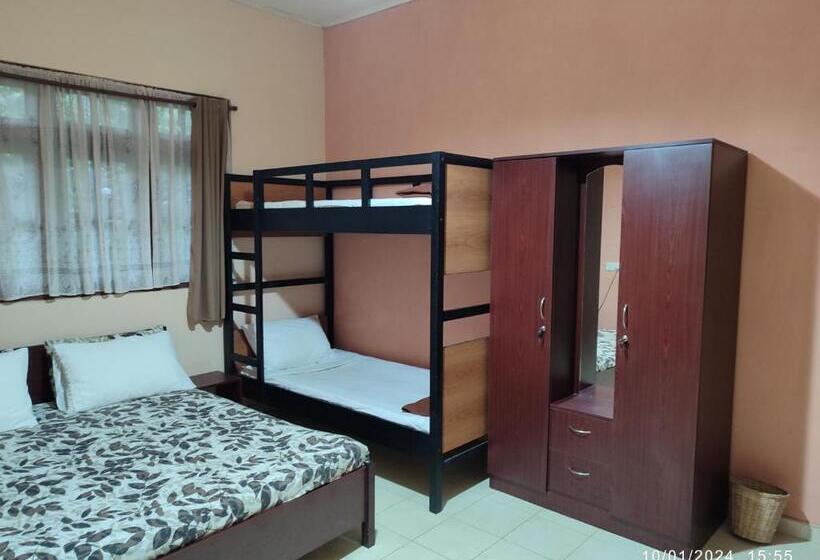 غرفة عائلية, Spring Shannon Heritage