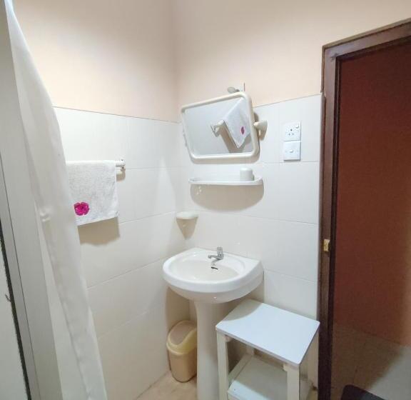 غرفة إقتصادية, Spring Shannon Heritage