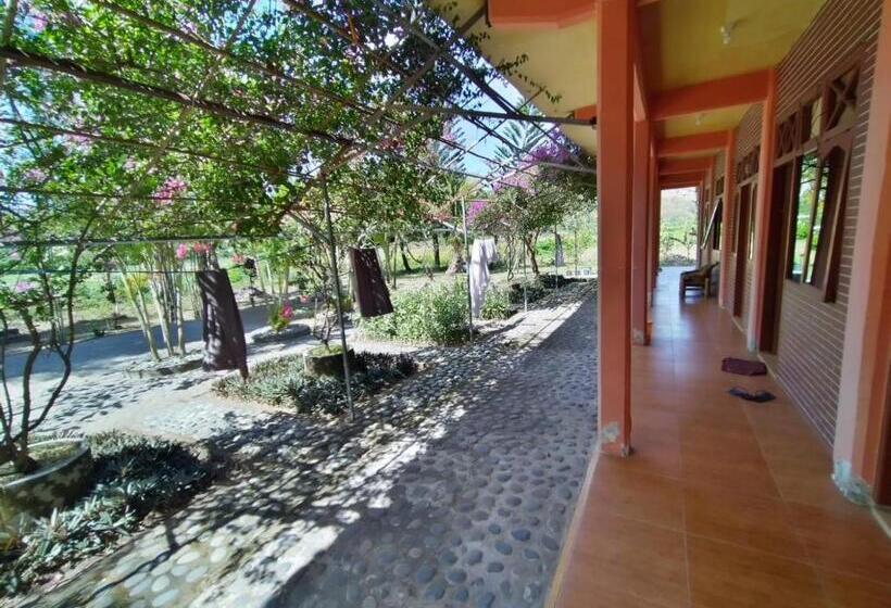 חדר סטנדרד יחיד חדר אמבטיה משותף, Supersuck