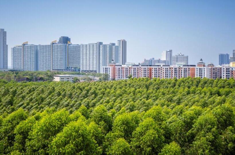 Полулюкс Вид на Сад, Wyndham Jomtien Pattaya
