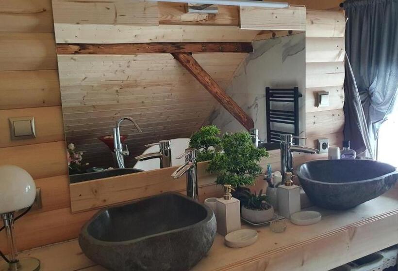 סטודיו סטנדרט עם מרפסת, Wellness Beskydy