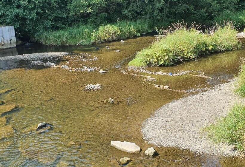 סטודיו סטנדרט עם מרפסת, Wellness Beskydy