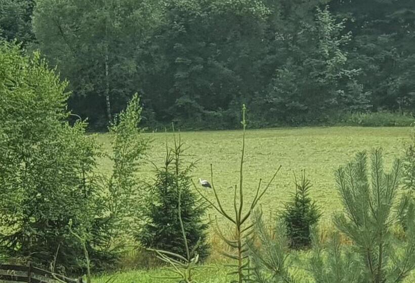 סטודיו סטנדרט עם מרפסת, Wellness Beskydy