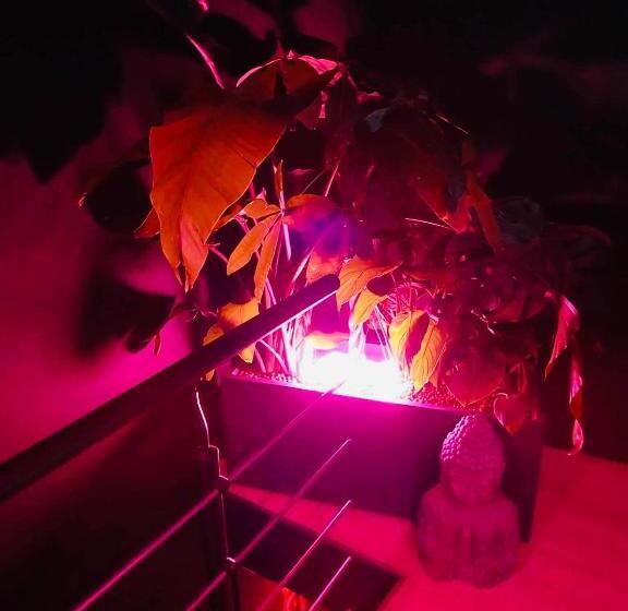 Апартаменты 1 Спальня, Chambre Noire