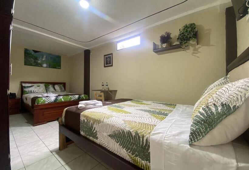 غرفة قياسية, Orillas Del Zamora