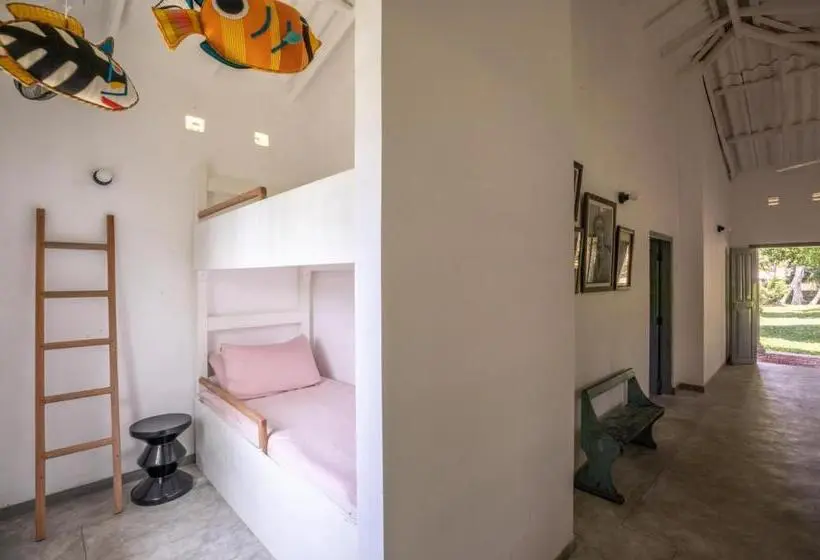 ファミリールーム, The Rice Rooms