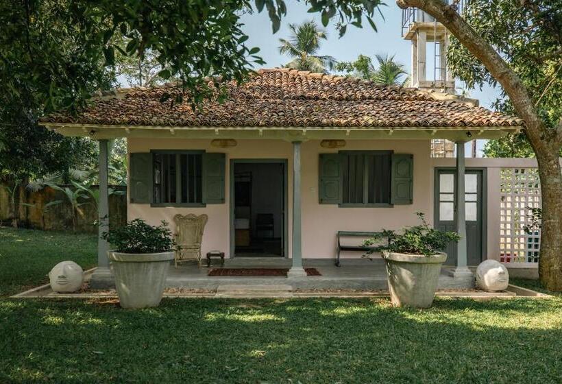 패밀리 룸, The Rice Rooms