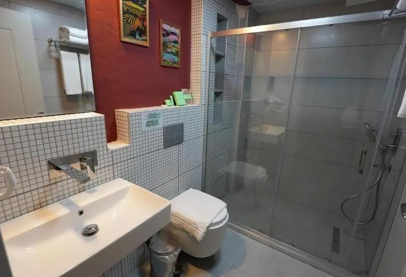 اتاق خانوادگی با چشم‌انداز باغ, Carti̇er Luxury Otel