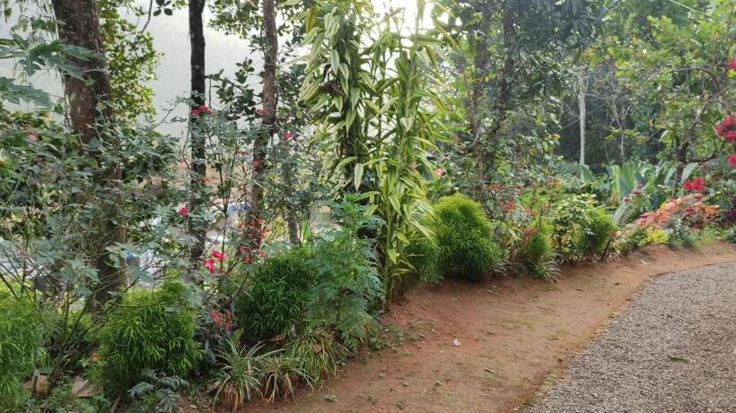 غرفة قياسية, Koonamparayil Home Stay Munnar Anaviratty Family Only
