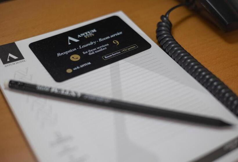 스탠다드 싱글 룸, Antum