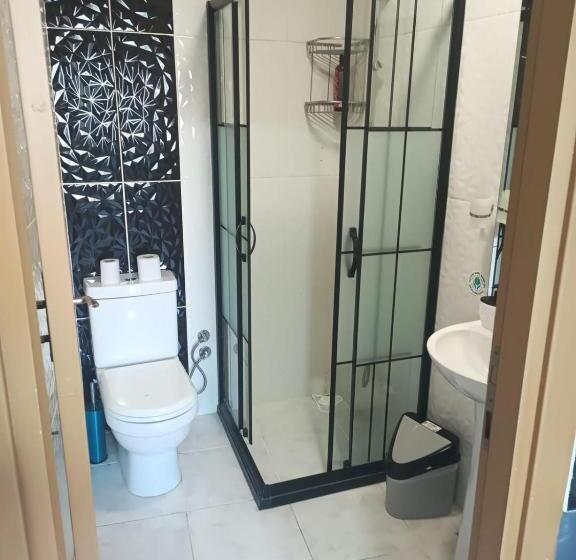 إستوديو قياسى, Arena Apart