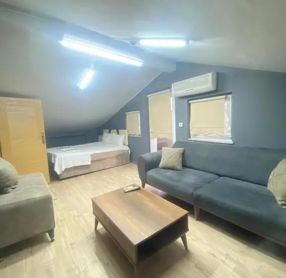 Standard-studio, Arena Apart