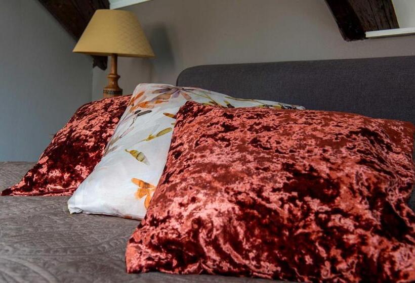 اتاق استاندارد, B&b De Zilveren Reiger