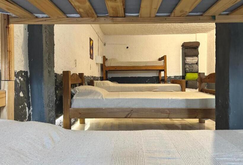 تختخواب در اتاق مشترک, Hostel Bohemian