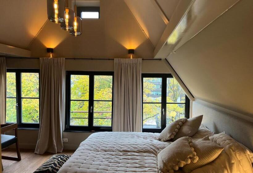 اتاق سوپریور با تخت بزرگ, Townhouse  T Raap