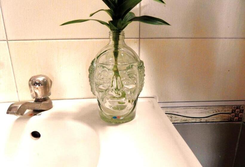 Номер Стандарт, Nirvan Ika