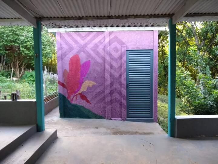 Chalet 1 Dormitório, Canastra Hostel E Camping Quartos