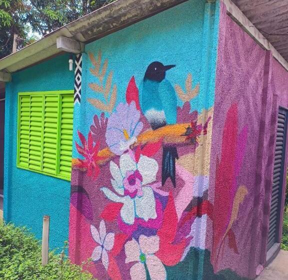 Chalet 1 Dormitório, Canastra Hostel E Camping Quartos