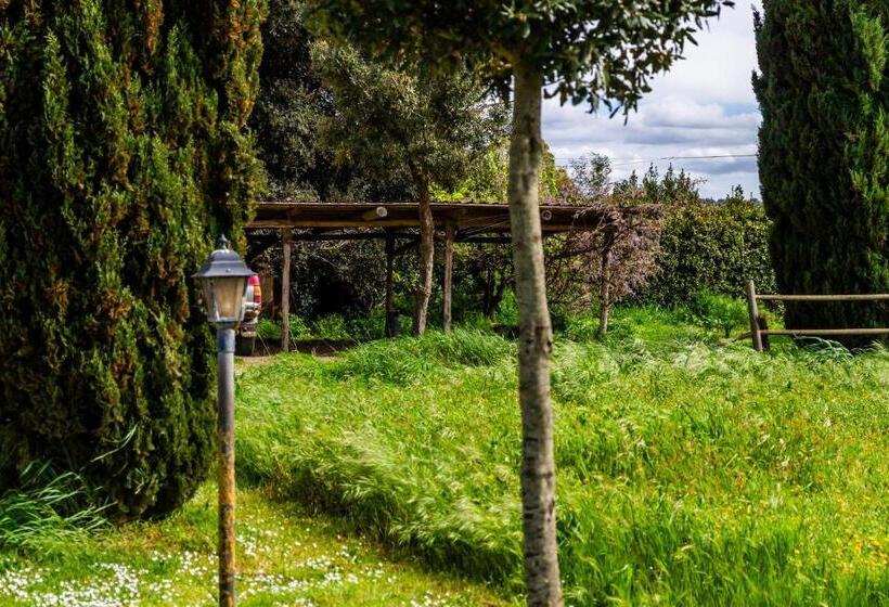 آپارتمان سوپریور 1 خوابه, Le Gerlette   Il Granaio