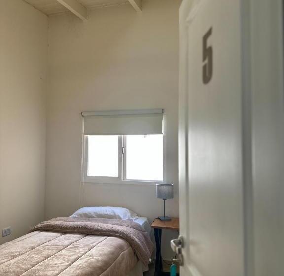 تختخواب در اتاق مشترک, Hostel Mamina