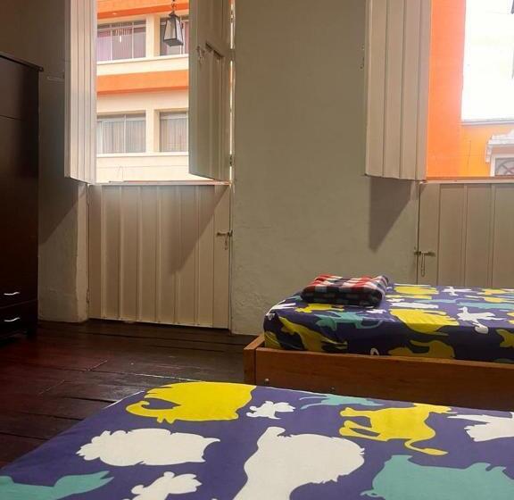 Четырехместный Номер Стандарт, Hostal Arbol Cafe Caicedonia