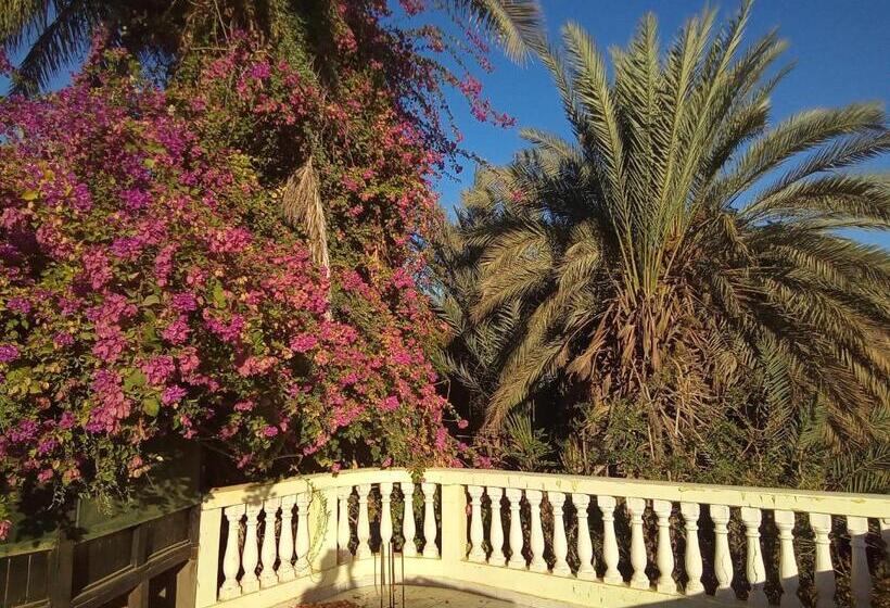 اتاق لوکس, 33 0asis Riad Resort