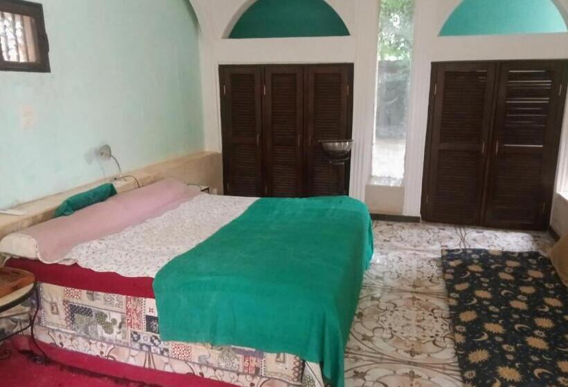 اتاق لوکس, 33 0asis Riad Resort