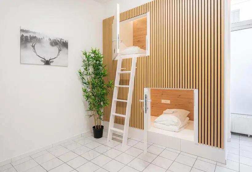 اتاق استاندارد یک نفره, Robin Wood Apartment