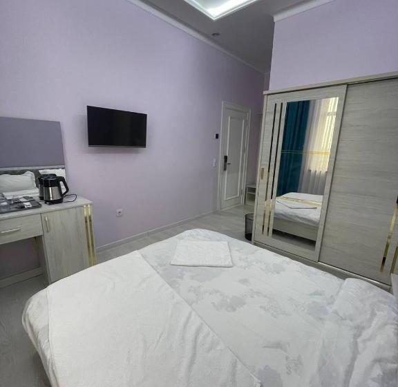 اتاق اکونومی, Tashkent Hotel Parvoz