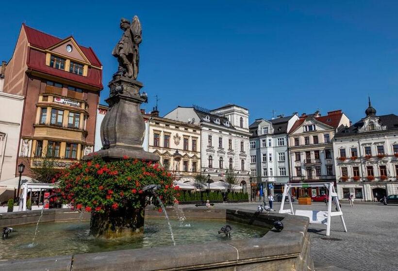 Номер Superior Вид на Сад, Cieszyński Stare Miasto Suites