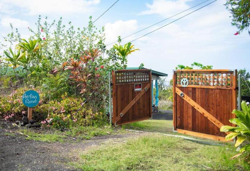 キングサイズベッドのスタンダードルーム, Aeolian Ranch Guest House