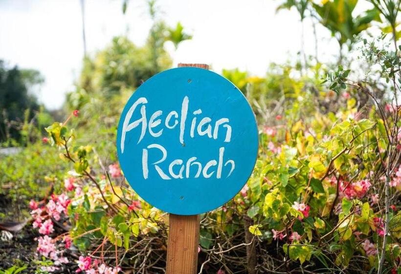 オーシャンビューデラックスルーム, Aeolian Ranch Guest House