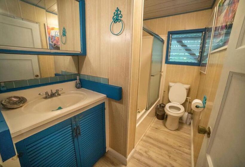 オーシャンビューデラックスルーム, Aeolian Ranch Guest House