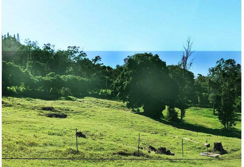 キングサイズベッドのスタンダードルーム, Aeolian Ranch Guest House