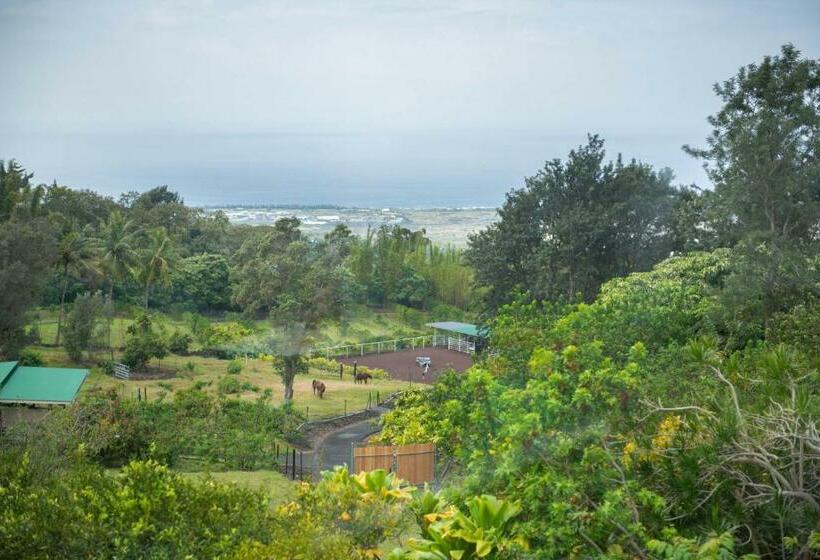 キングサイズベッドのスタンダードルーム, Aeolian Ranch Guest House