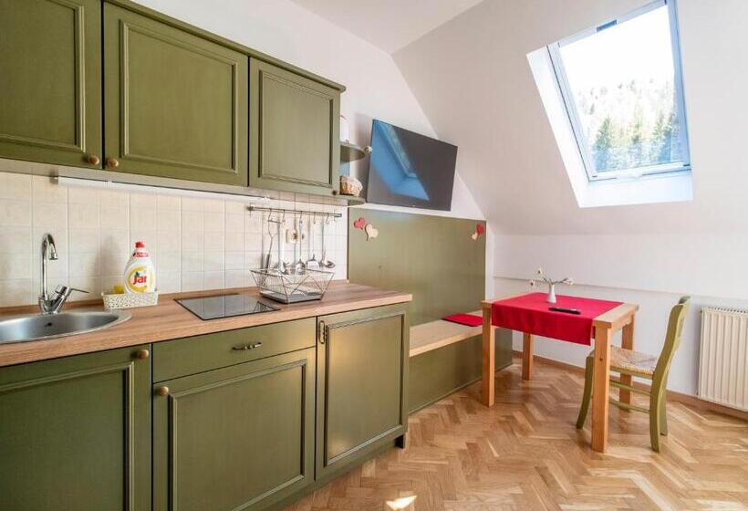 استودیوی استاندارد, Berghi Hotel And Apartments