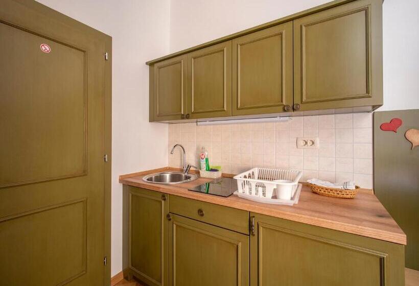 استودیوی استاندارد, Berghi Hotel And Apartments