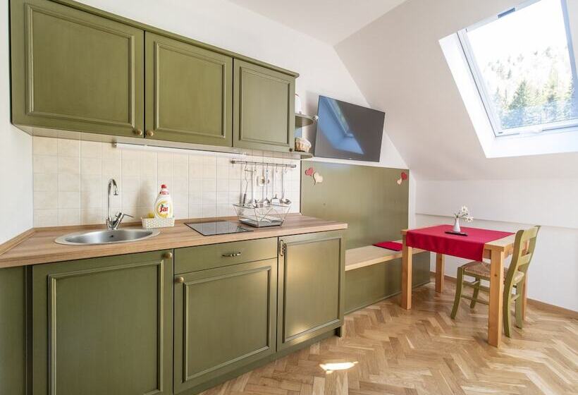 استودیوی استاندارد, Berghi Hotel And Apartments